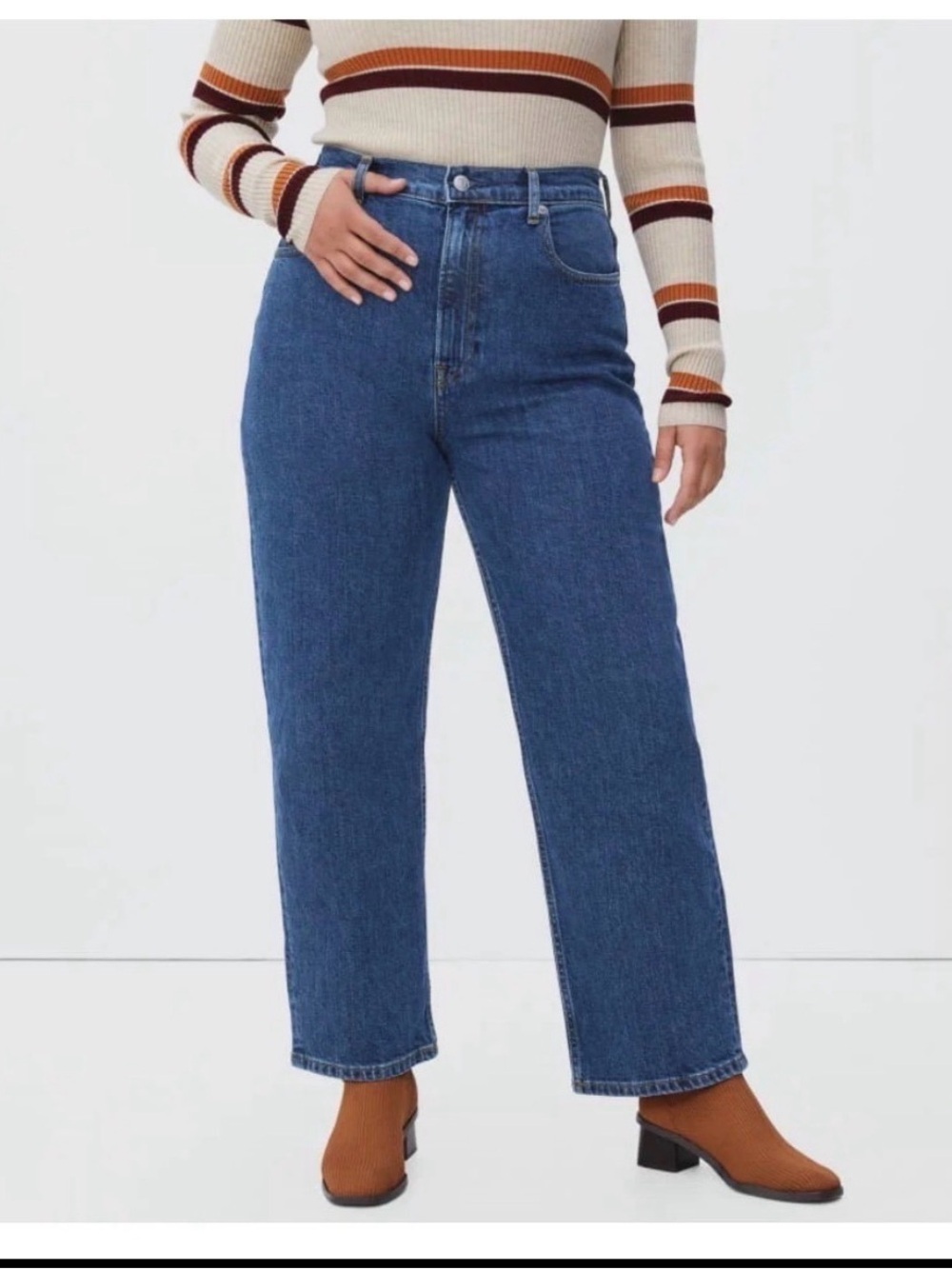 Everlane The Curvy Way High Jean 35 blue denim